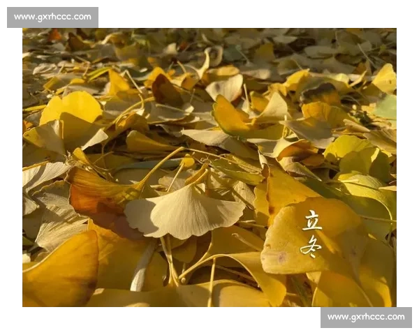 立冬时节寒意起万物收藏人间烟火与冬日温情交织